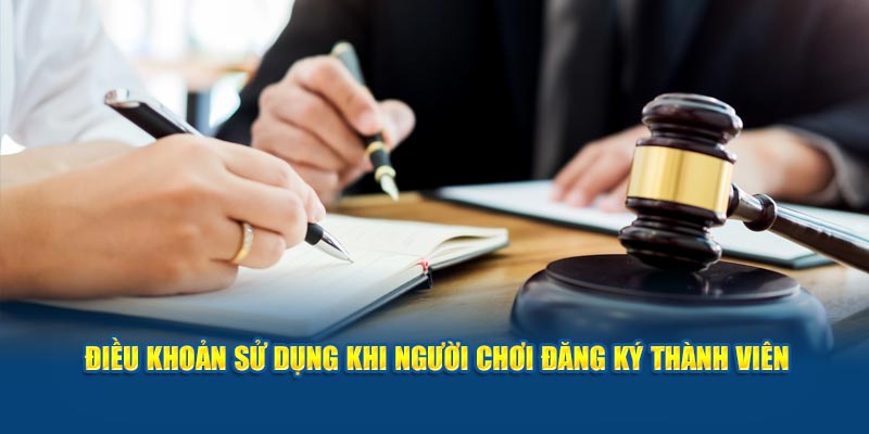 Quyền của KV999 trong việc điều chỉnh điều khoản sử dụng