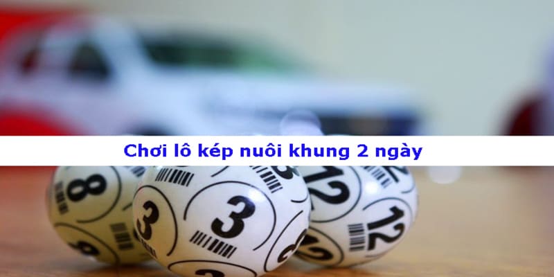 Những bước nuôi lô kép vào khung 2 ngày